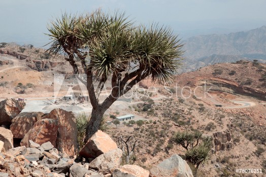 Picture of Desert near Dallol in Ethiopia